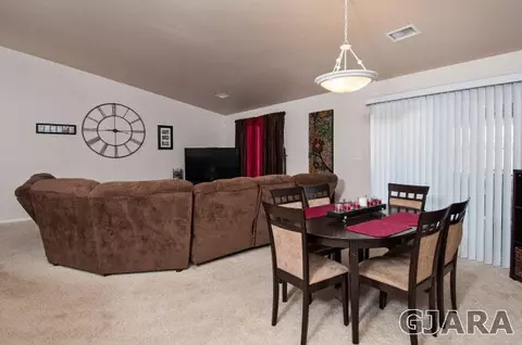 725 Silver Plume Dr, Fruita, CO 81521 photo 14