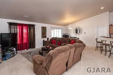 725 Silver Plume Dr, Fruita, CO 81521 photo 5