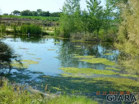 1676 10 Rd, Mack, CO 81525 photo 6