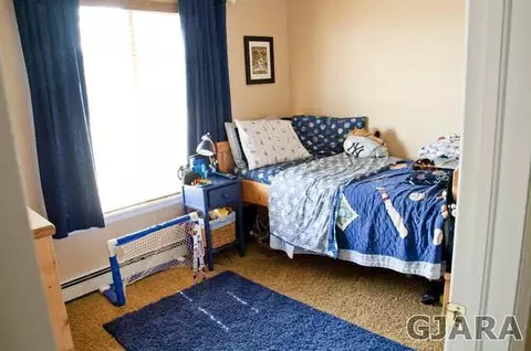 547 Kaley St, Fruita, CO 81521 photo 17