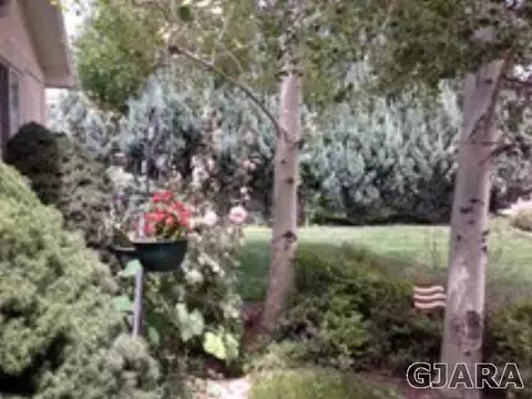 541 N Willow St, Fruita, CO 81521 photo 5