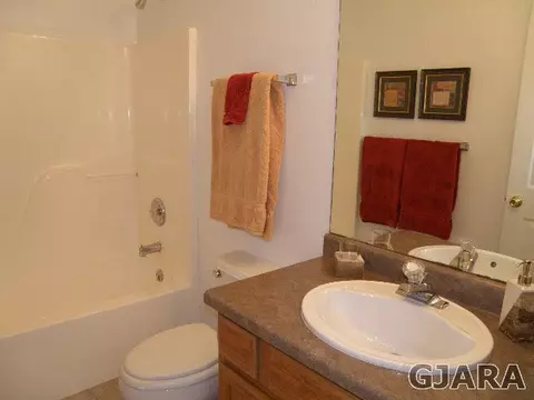 461 Phyllis Dr, Fruita, CO 81521 photo 10