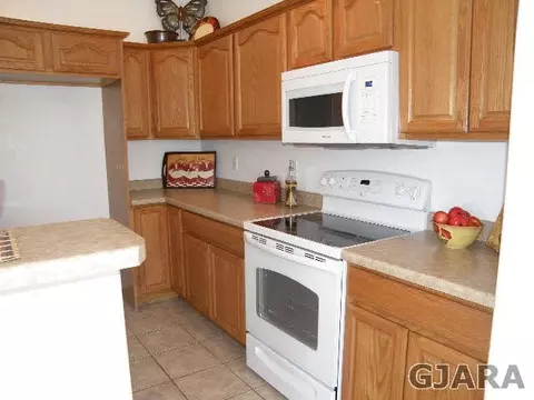 461 Phyllis Dr, Fruita, CO 81521 photo 4