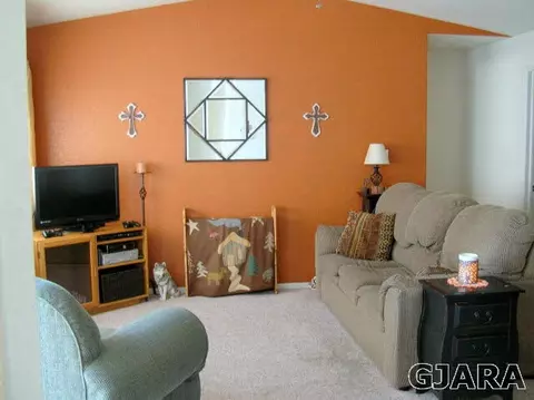 215 Narrow Leaf Dr, Fruita, CO 81521 photo 6