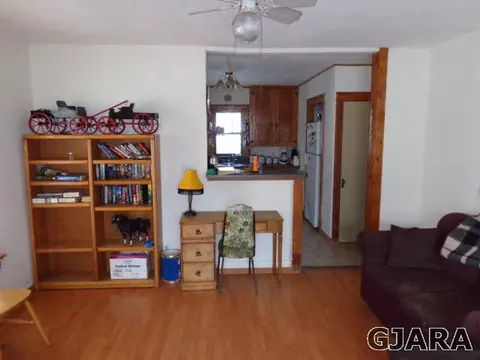 211 Spring St, Collbran, CO 81624 photo 7