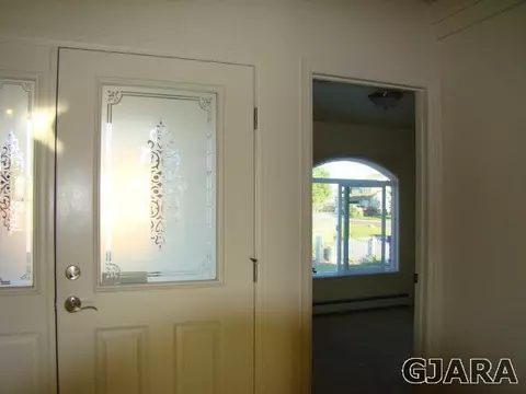 941 Elberta Dr, Fruita, CO 80521 photo 8