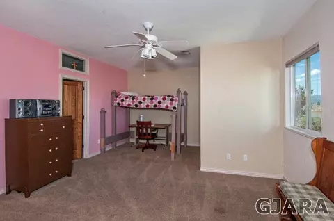 1408 Bridle Path Ct, Fruita, CO 81521 photo 26