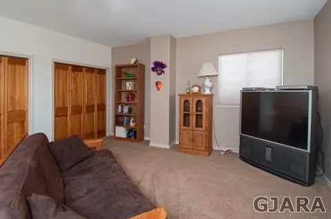 1408 Bridle Path Ct, Fruita, CO 81521 photo 21