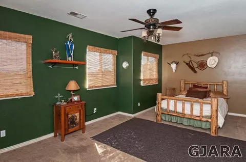 1408 Bridle Path Ct, Fruita, CO 81521 photo 22