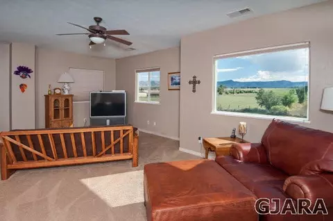 1408 Bridle Path Ct, Fruita, CO 81521 photo 20
