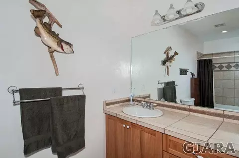 1408 Bridle Path Ct, Fruita, CO 81521 photo 23