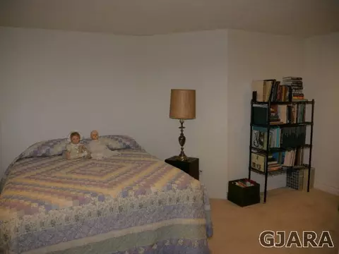 1222 La Mesa Ln, Fruita, CO 81521 photo 18