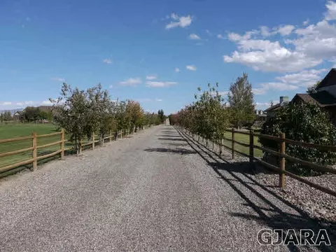1222 La Mesa Ln, Fruita, CO 81521 photo 34