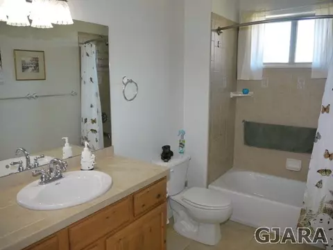 1222 La Mesa Ln, Fruita, CO 81521 photo 17