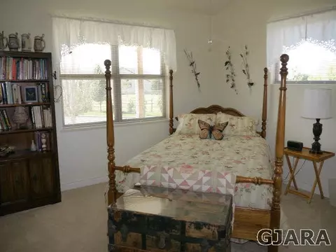 1222 La Mesa Ln, Fruita, CO 81521 photo 16