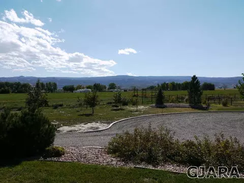 1222 La Mesa Ln, Fruita, CO 81521 photo 33