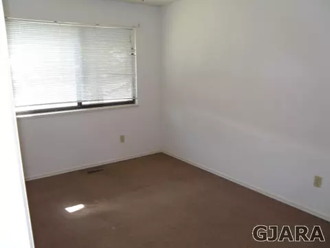 175 Applewood Dr, Fruita, CO 81521 photo 14