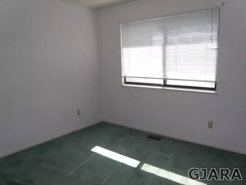 175 Applewood Dr, Fruita, CO 81521 photo 13