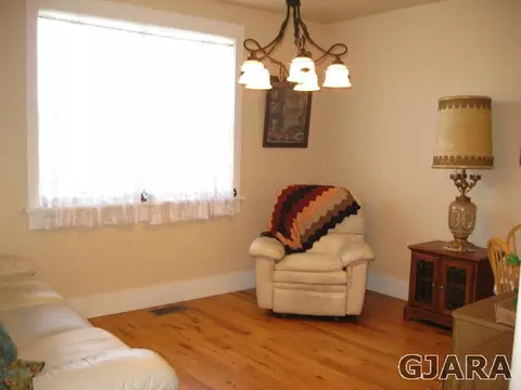 1180 Marigold Ave, Fruita, CO 81521 photo 10