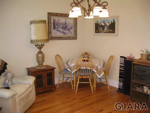 1180 Marigold Ave, Fruita, CO 81521 photo 11