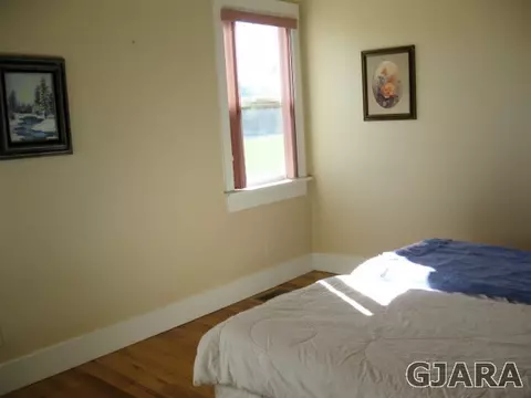 1180 Marigold Ave, Fruita, CO 81521 photo 14