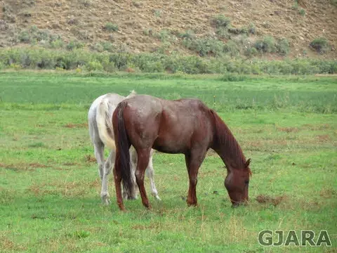 13000 County Road 2, Rangely, CO 81648 photo 18