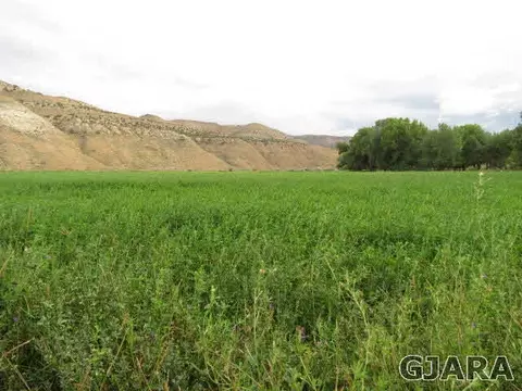 13000 County Road 2, Rangely, CO 81648 photo 19