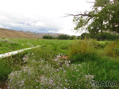 13000 County Road 2, Rangely, CO 81648 photo 15