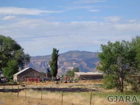 1331 19 Rd, Fruita, CO 81521 photo 10