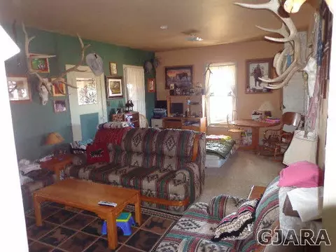 1331 19 Rd, Fruita, CO 81521 photo 3