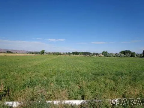 1331 19 Rd, Fruita, CO 81521 photo 14