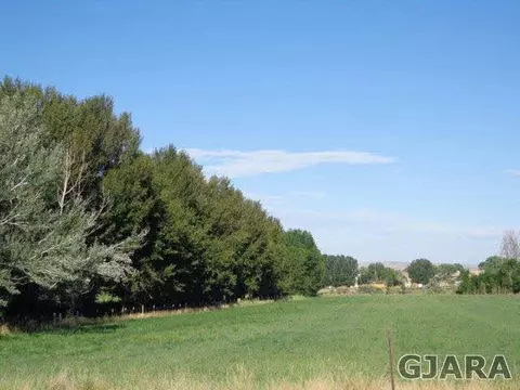 1331 19 Rd, Fruita, CO 81521 photo 9