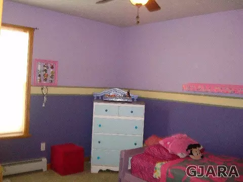 690 Pear Dr, Fruita, CO 81521 photo 5
