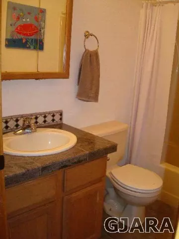690 Pear Dr, Fruita, CO 81521 photo 9