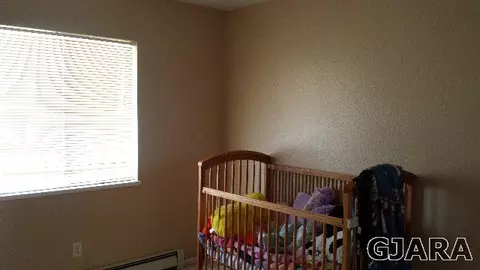 502 James Ct, Fruita, CO 81521 photo 5