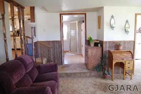 12420 W Spring Cir, Eckert, CO 81418 photo 20