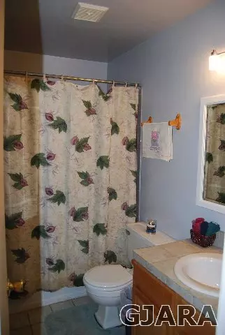 12420 W Spring Cir, Eckert, CO 81418 photo 17
