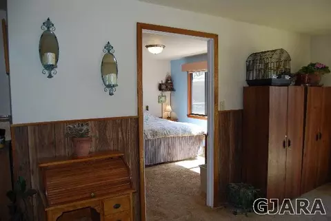 12420 W Spring Cir, Eckert, CO 81418 photo 21