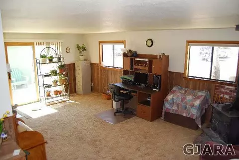 12420 W Spring Cir, Eckert, CO 81418 photo 10