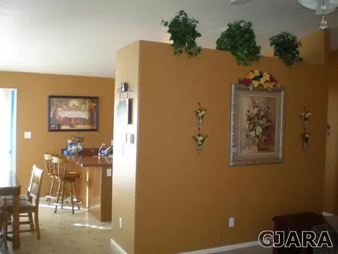 245 Narrow Leaf Dr, Fruita, CO 81521 photo 4