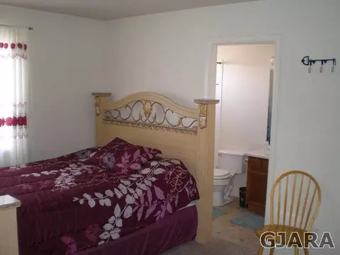 245 Narrow Leaf Dr, Fruita, CO 81521 photo 14