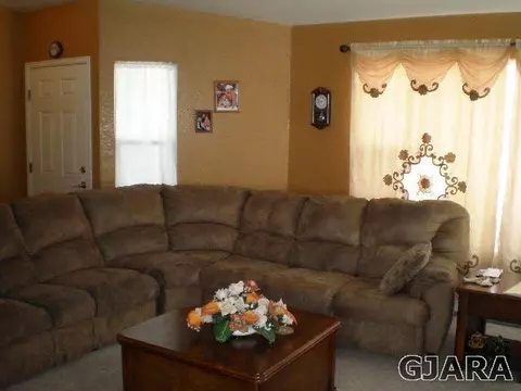 245 Narrow Leaf Dr, Fruita, CO 81521 photo 26