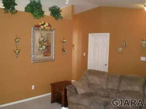 245 Narrow Leaf Dr, Fruita, CO 81521 photo 5