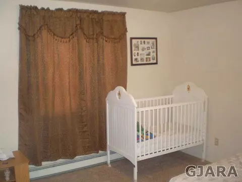 245 Narrow Leaf Dr, Fruita, CO 81521 photo 9