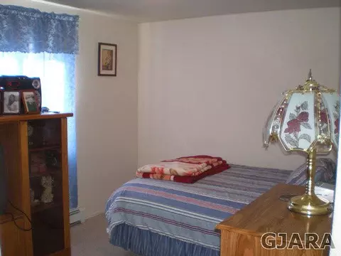 245 Narrow Leaf Dr, Fruita, CO 81521 photo 12