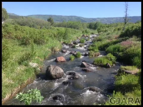 8734 Lone Eagle Rd, Mesa, CO 81643 photo 12