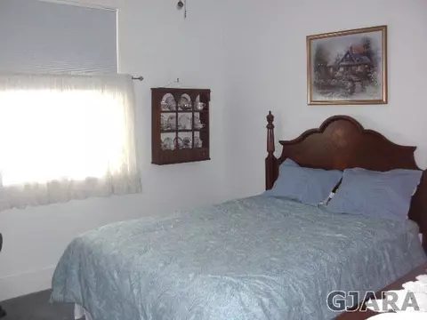 825 Marigold Ct, Fruita, CO 81521 photo 10