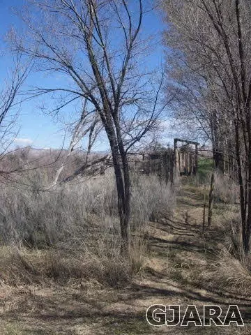 1689 18 Rd, Fruita, CO 81521 photo 33