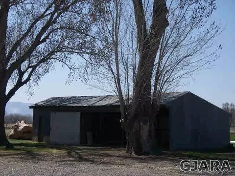 1689 18 Rd, Fruita, CO 81521 photo 6