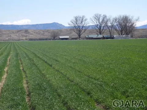 1689 18 Rd, Fruita, CO 81521 photo 31